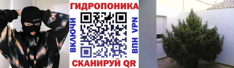 наркотики  Котовск  omg зеркало  Канабис Amnesia 